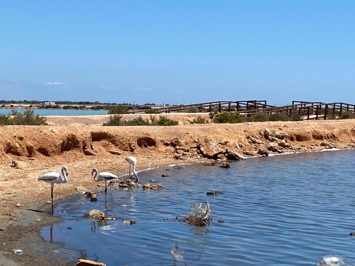 Bianca Beach 222 - Mil Palmeras, Vista Piscina Y Mar Torre de la Horadada 外观 照片